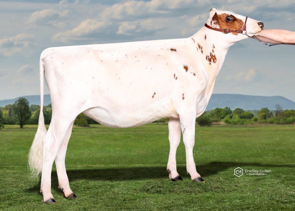 Class_3_D_2024-large