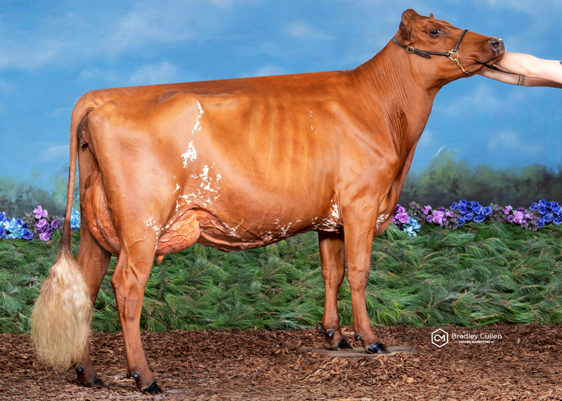 Intermediate-Champion---Blink-Skye